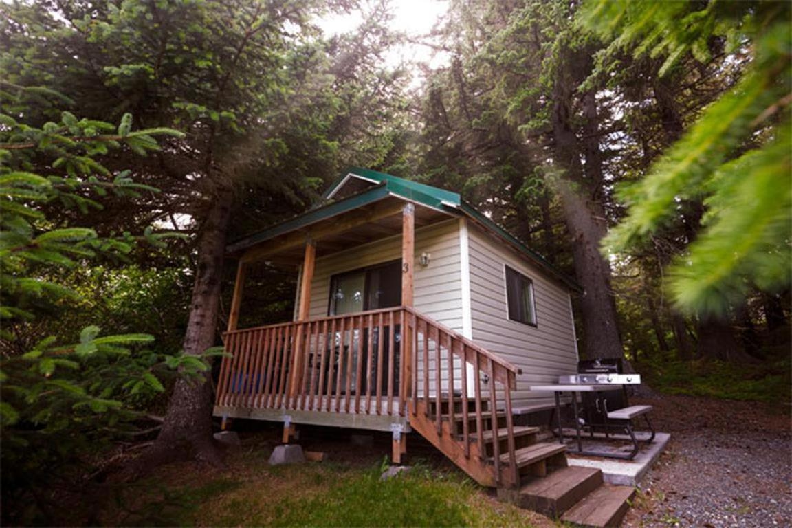 Cabin 3 Lynn View Lodge Гейнс Екстер'єр фото